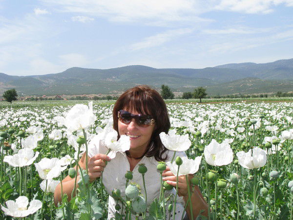 Светлана Василенко