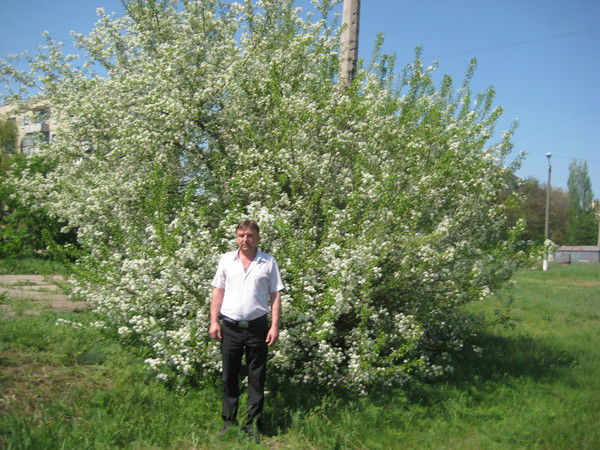 Василий )))))))Допиро