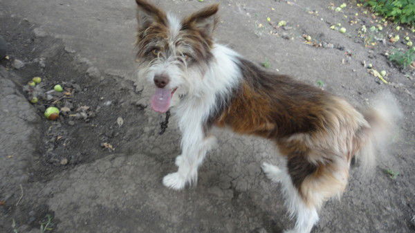 Вячеслав Чистиков