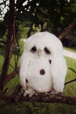 Вера Бабичева