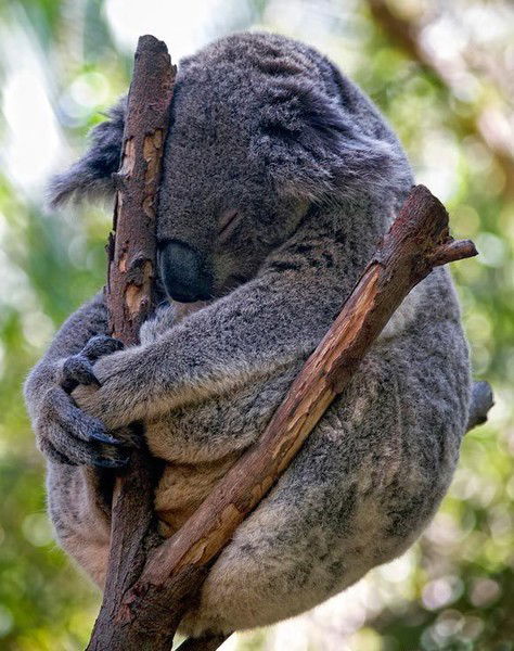 Олег Кр@снопёроff