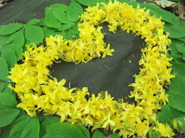 Егор Шомшин