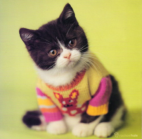 Елена Борщёва