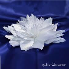 Нилюфар Махсумова