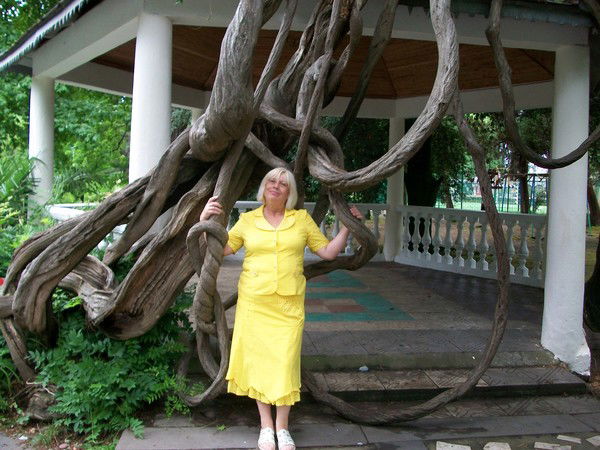 Надежда Светличная