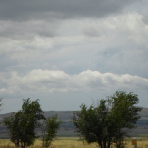 Сергей Логунов