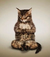 Галочка Иванова