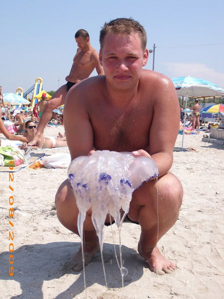 Дмитрий Фетисов