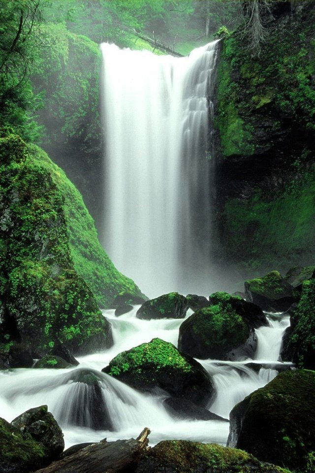 Людмила Тагинцева