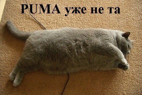 Игорь Гришин