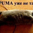 Игорь Гришин