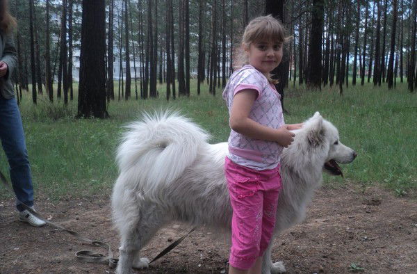 Ольга Орлова