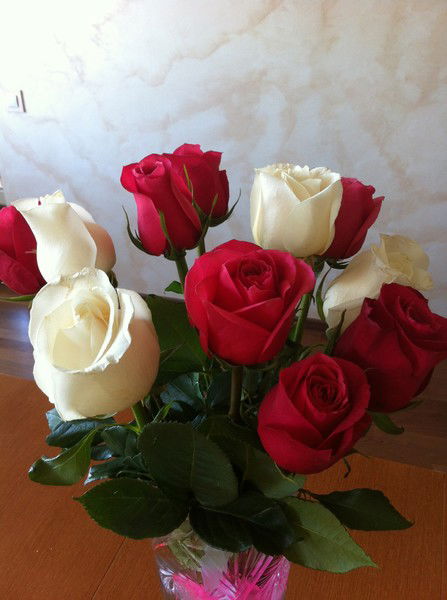 Ирина Чернова