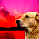 Юрий Костарев