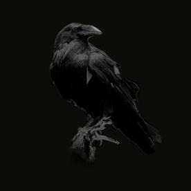 Иван Сажаев