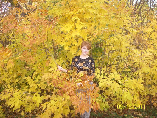 Елена Панкратова