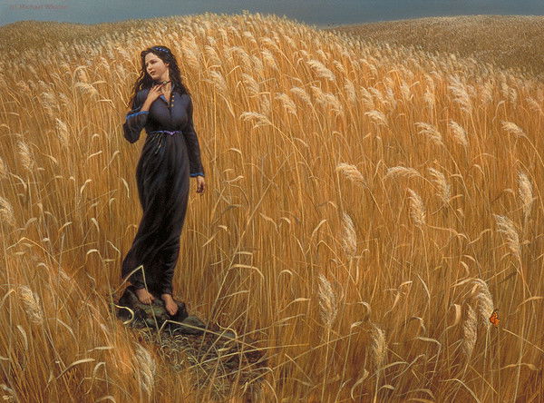 C O Ф И К О $$$$$$$$$$$$$