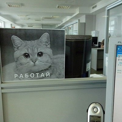 Дмитрий Норин