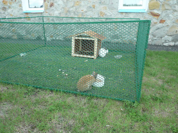 Лариса Калинина