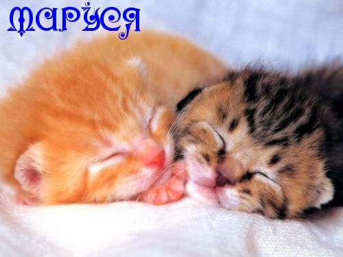 Маша Батракова