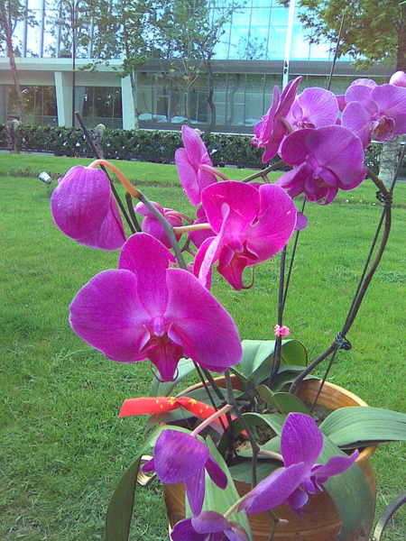 Фархад Эфендиев