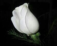 Канзада Ормонова