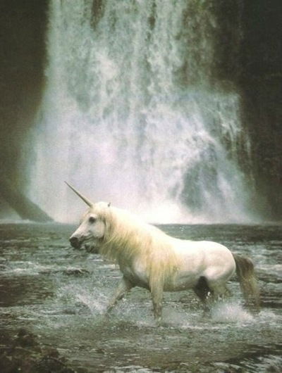 Ксения Швецова