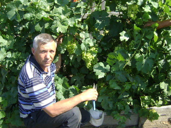 Владимир Зюзгин