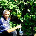 Владимир Зюзгин