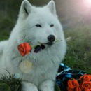 Иван Лазарев