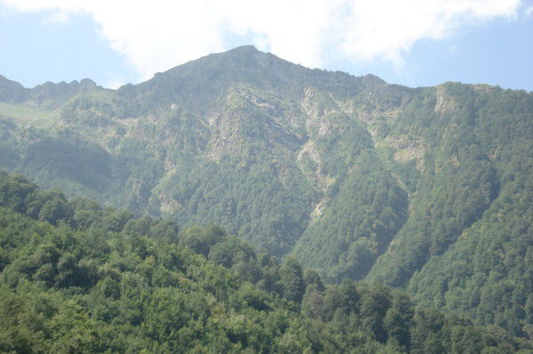 Светлана Шишова