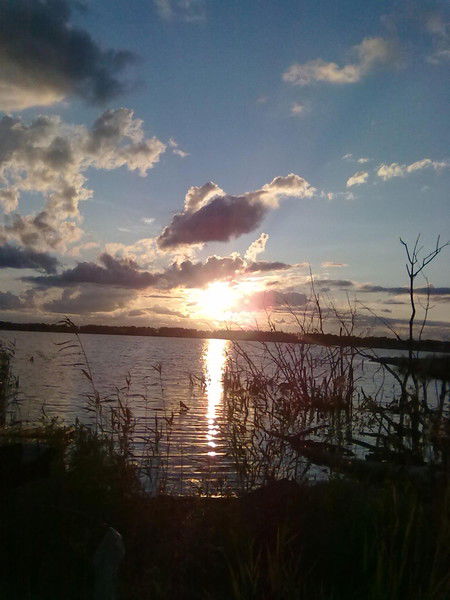 Елена Луничкина