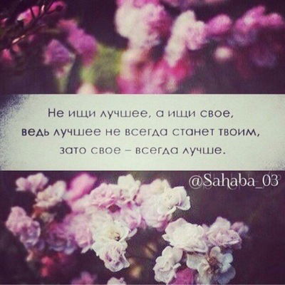 Шовда Мациева