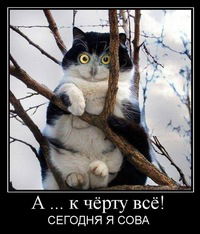 Надежда Горячкова