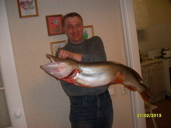 Николай Новаковский