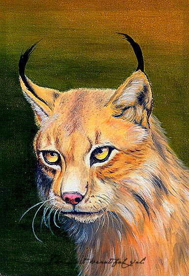 Anny Sahmet-Swg Vsv.