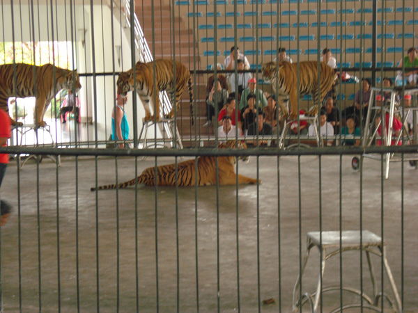 Жора Жориков