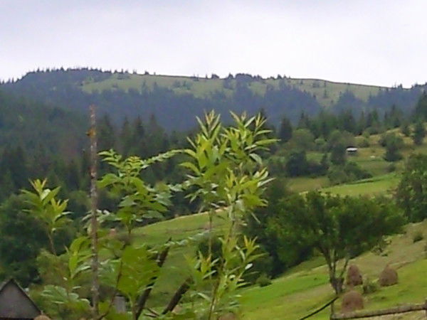 Иван Левкулич