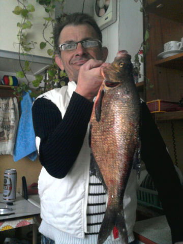 Михаилс Кричфалушийс