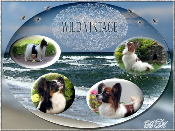 Надежда Лавриненко