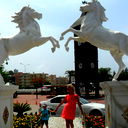 Юлия Петрова
