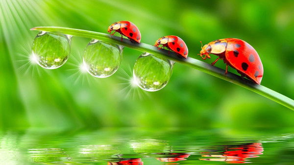 Магжан Кемельбаева