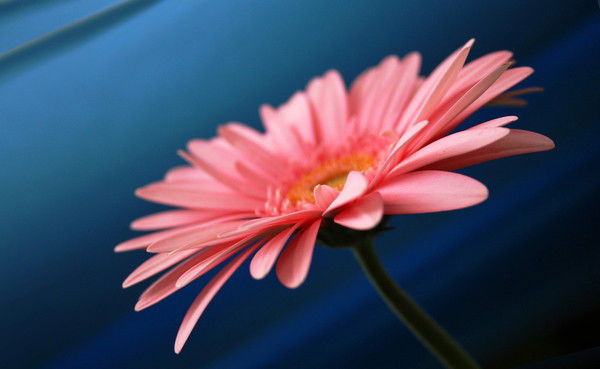 Наталья Журихина