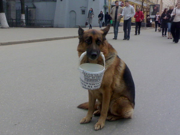 Иван Скрипин