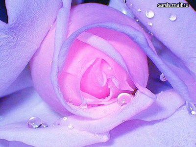 Наргиза Акромова