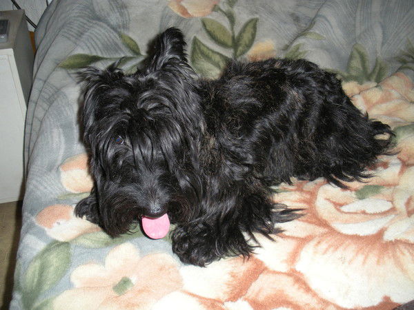 Таня Торопова