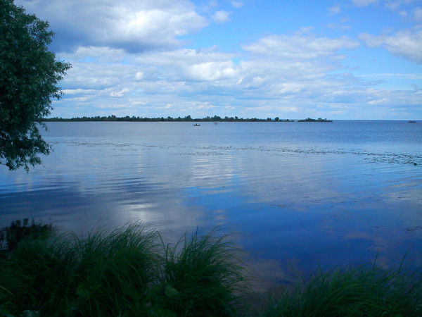 Дмитрий Евсин