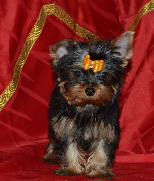 Ольга Круглова