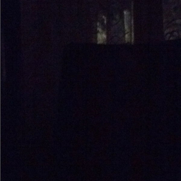 Сергей Куликов