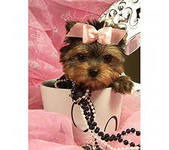 Ксения ..........